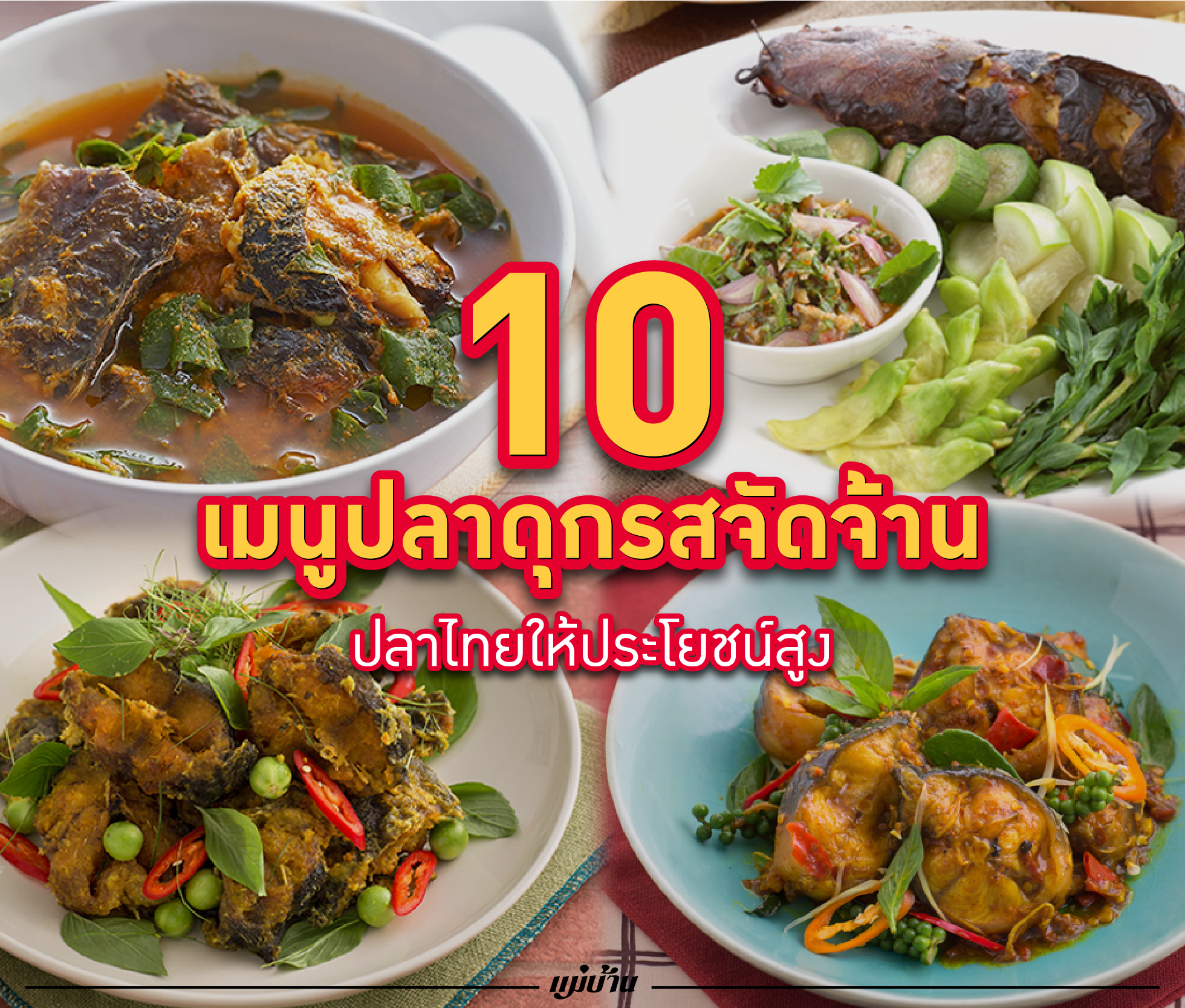 10 เมนูปลาดุกรสจัดจ้าน ปลาไทยให้ประโยชน์สูง สำนักพิมพ์แม่บ้าน