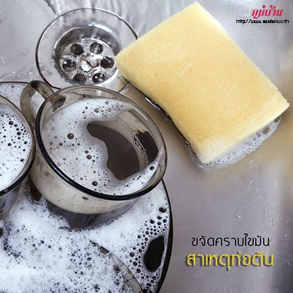 ขจัดคราบมันและเศษอุดตันในอ่างล้างจาน