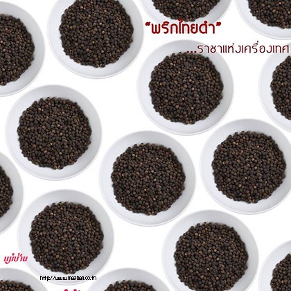 พริกไทยดำ ราชาแห่งเครื่องเทศ สำนักพิมพ์แม่บ้าน
