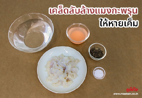 เคล็ดลับล้างแมงกะพรุนให้หายเค็ม สำนักพิมพ์แม่บ้าน