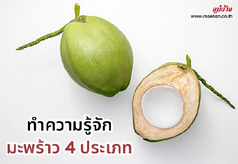 ทำความรู้จักมะพร้าว 4 ประเภท สำนักพิมพ์แม่บ้าน