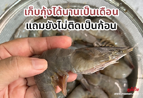 เก็บกุ้งได้นานเป็นเดือน แถมยังไม่ติดเป็นก้อน สำนักพิมพ์แม่บ้าน