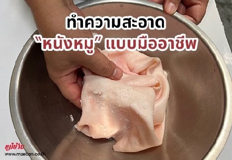 ทำความสะอาด “หนังหมู” แบบมืออาชีพ สำนักพิมพ์แม่บ้าน