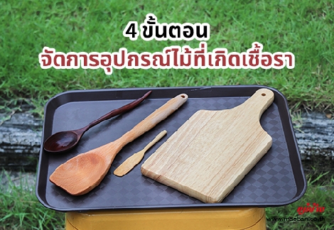 4 ขั้นตอน จัดการอุปกรณ์ไม้ที่เกิดเชื้อรา สำนักพิมพ์แม่บ้าน