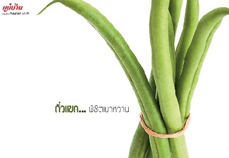 ถั่วแขก พิชิตเบาหวาน สำนักพิมพ์แม่บ้าน