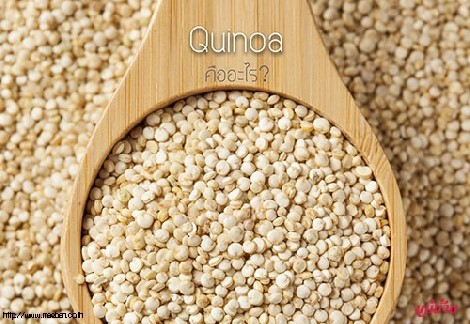 Quinoa คืออะไร สำนักพิมพ์แม่บ้าน
