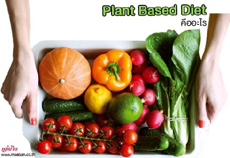 Plant Based Diet คืออะไร สำนักพิมพ์แม่บ้าน