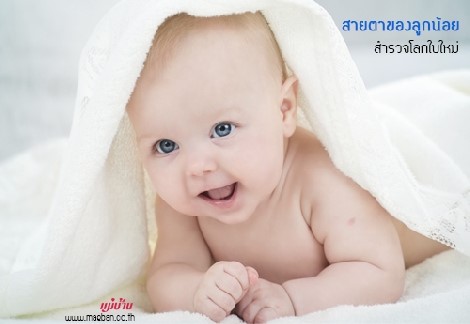 สายตาของลูกน้อย สำรวจโลกใบใหม่ สำนักพิมพ์แม่บ้าน