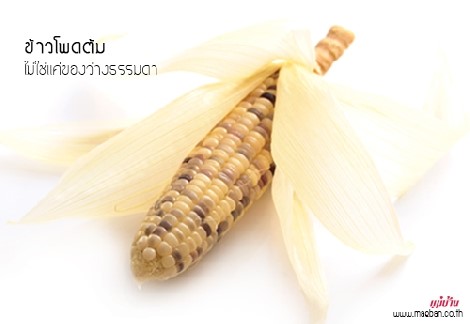 ข้าวโพดต้ม ไม่ใช่แค่ของว่างธรรมดา สำนักพิมพ์แม่บ้าน