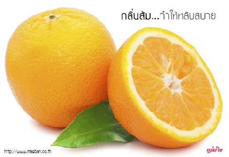 กลิ่นส้ม ทำให้หลับสบาย สำนักพิมพ์แม่บ้าน