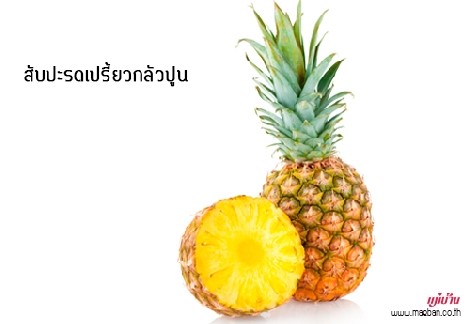 สับปะรดเปรี้ยวกลัวปูน สำนักพิมพ์แม่บ้าน