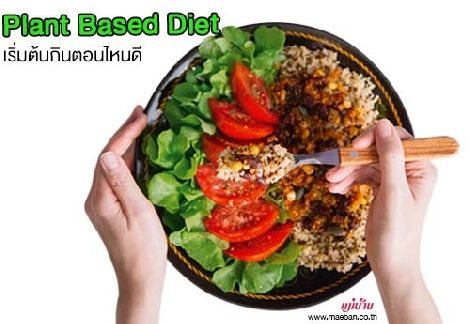 Plant Based Diet เริ่มต้นกินตอนไหนดี สำนักพิมพ์แม่บ้าน