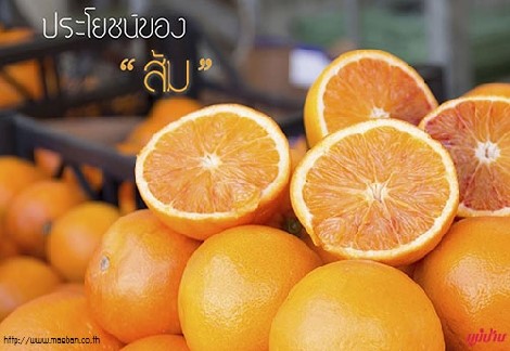 ประโยชน์ของส้ม สำนักพิมพ์แม่บ้าน