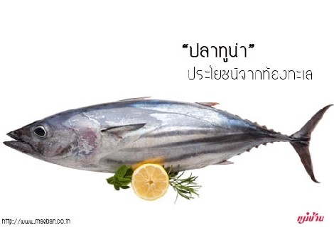 “ปลาทูน่า” ประโยชน์จากท้องทะเล สำนักพิมพ์แม่บ้าน