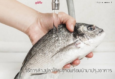 วิธีการ ล้างปลาให้สะอาด พร้อมนำมาปรุงอาหาร สำนักพิมพ์แม่บ้าน