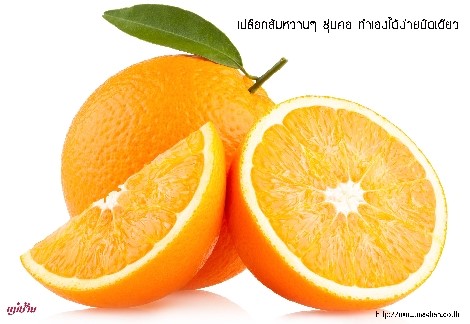เปลือกส้มหวานๆ ชุ่มคอ ทำเองได้ง่ายนิดเดียว สำนักพิมพ์แม่บ้าน
