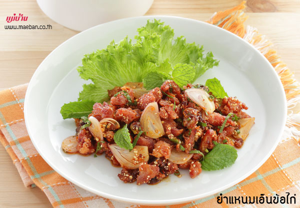 ยำแหนมเอ็นข้อไก่ สูตรอาหาร วิธีทำ แม่บ้าน ยำแหนมเอ็นข้อไก่ สูตรอาหาร วิธีทำ แม่บ้าน