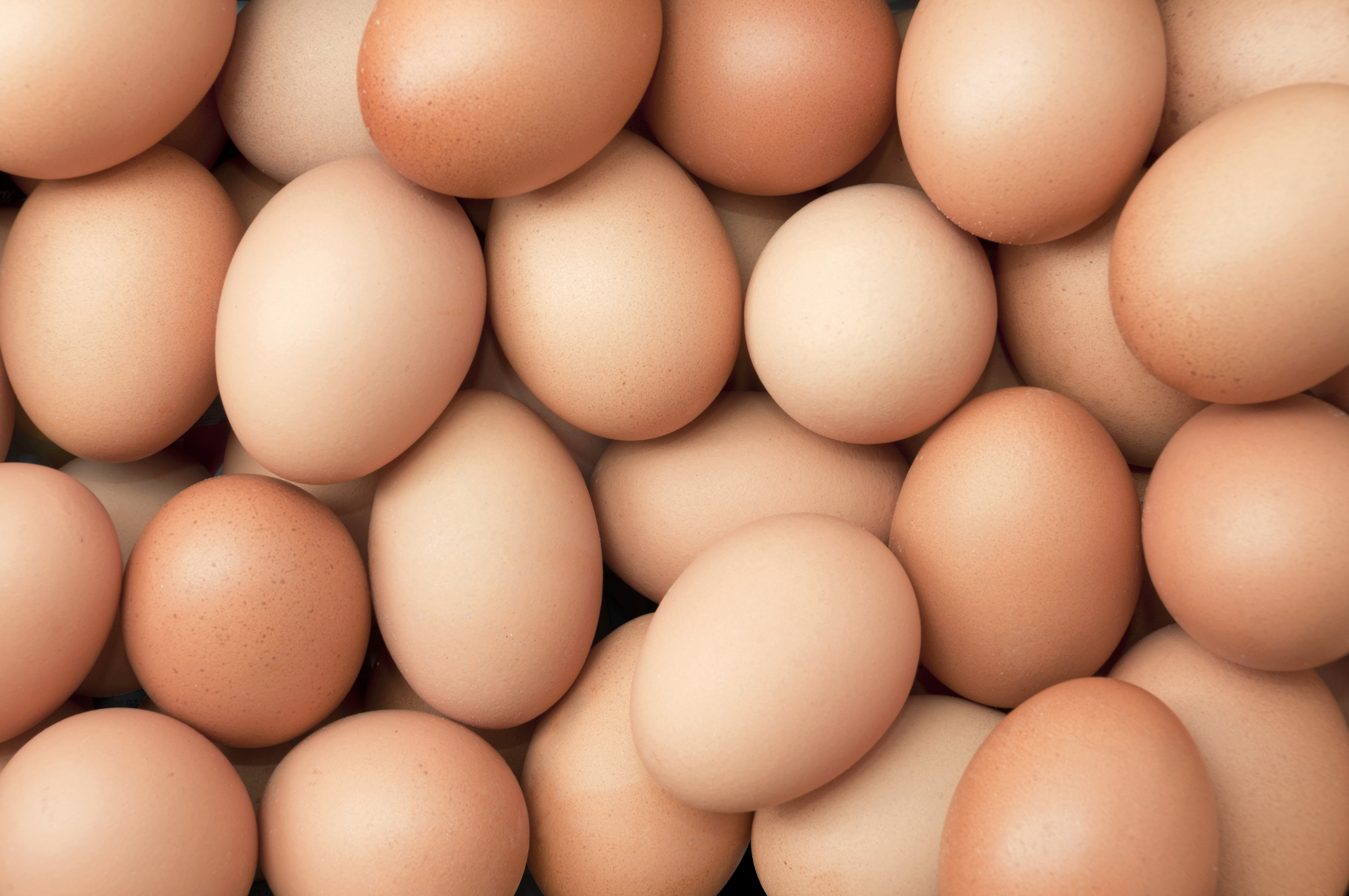 หมอ-นักวิชาการ แนะคนไทยสุขภาพดี กินไข่ได้วันละ 1 ฟอง ยืนยันมีคุณค่าทางโภชนาการสูง