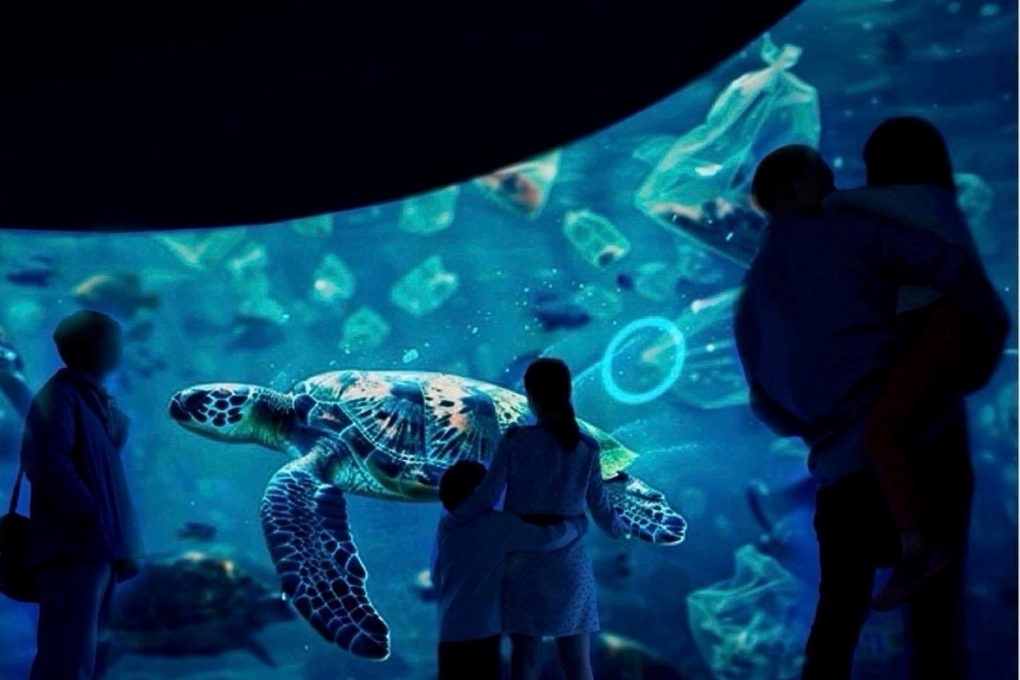 ละลานตามหัศจรรย์สัตว์น้ำที่ "เซ็นทรัล หาดใหญ่” ในงาน Songkhla Aqua Life 2024" เนรมิตโลกใต้น้ำสุดอลังการ พร้อมสนุกกับกิจกรรมมากมาย วันที่ 4-10 ก.ย.นี้
