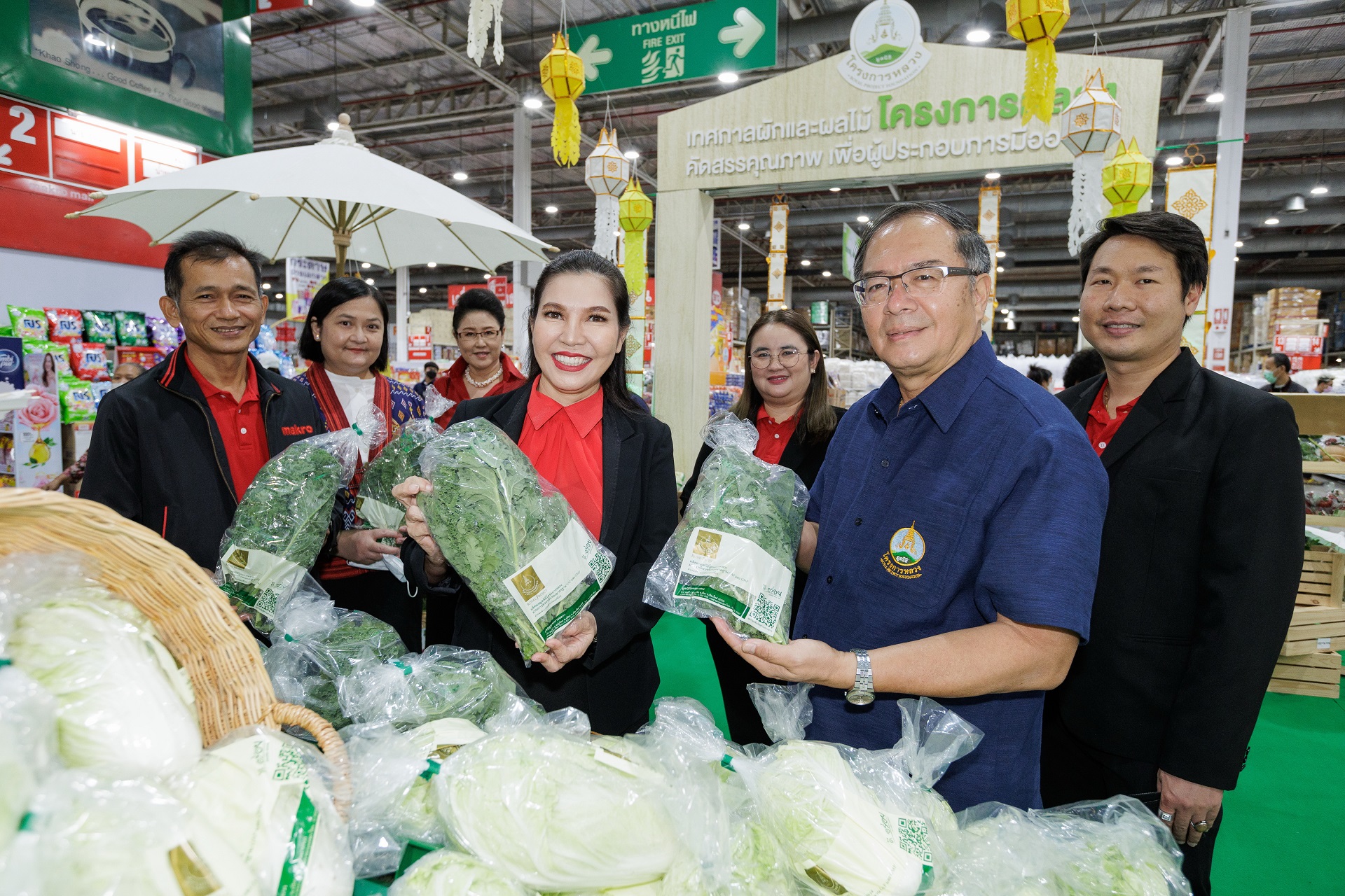 ซูเปอร์ฟู้ด กู้ดเฮลท์ ‘ผักเคล’ โครงการหลวง  ผลผลิตเกษตรกรบนพื้นที่สูง สู่แม็คโคร