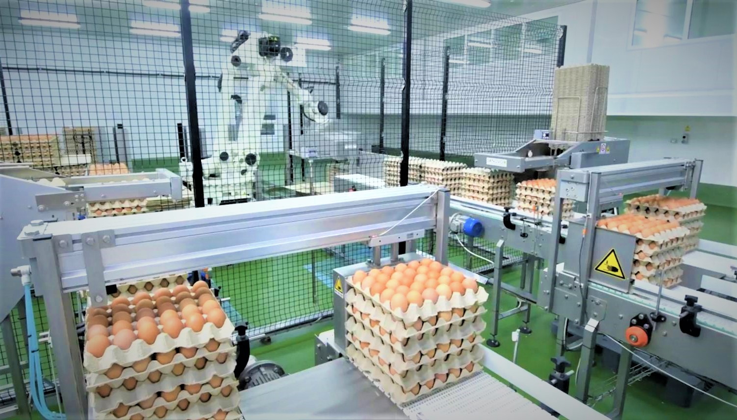 CPF หนุน 7 คอมเพล็กซ์ไก่ไข่ ใช้หลักเศรษฐกิจหมุนเวียน ลดของเสียในกระบวนการผลิต บริหารทรัพยากรคุ้มค่า