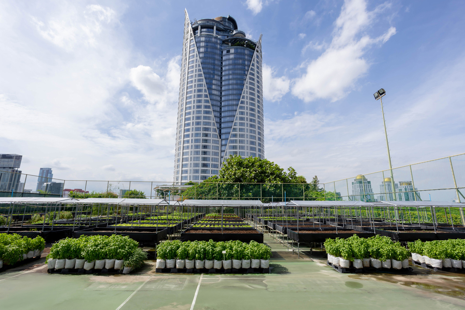โรงแรมเซ็นทาราแกรนด์ฯ เซ็นทรัลเวิลด์ สานต่อแนวคิดเกษตรอินทรีย์อย่างยั่งยืน From Rooftop Farm to Table