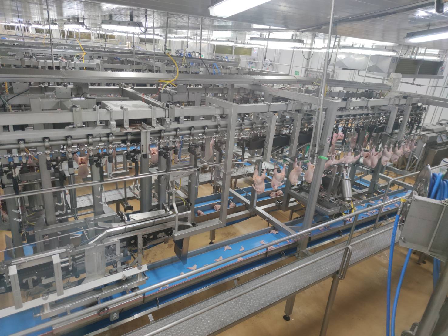 ซีพีเอฟเปิดเทคโนโลยีการผลิตทันสมัยล่าสุด การันตีการผลิตไก่ไทยปลอดภัยมาตรฐานระดับโลก