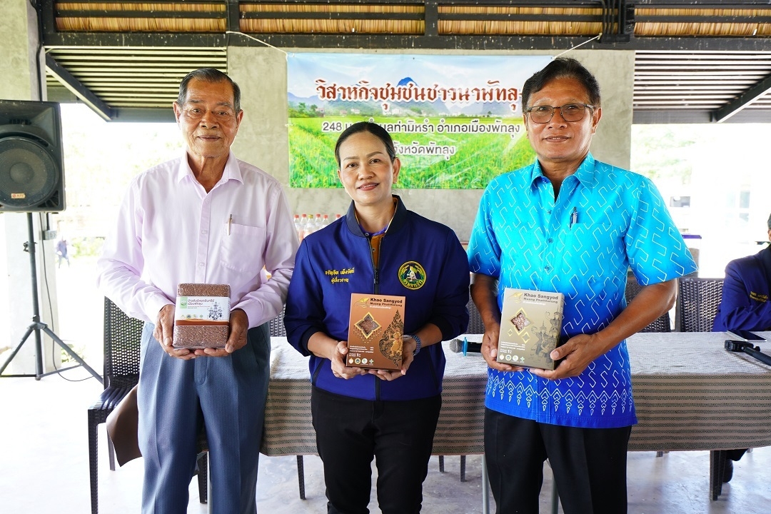“กรมการข้าว” เพิ่มความยั่งยืนการแข่งขันข้าวไทยด้วย “พันธุ์ข้าวพื้นเมือง” โชว์ 5 ชุมชน “ตรัง – พัทลุง” สองจังหวัดต้นแบบสร้างมูลค่าจากข้าว GI และข้าวพื้นถิ่น พร้อมเปิดว้าวการรังสรรค์ข้าวสู่สุดยอดโปรดักส์ไลฟ์สไตล์และการบริโภค 