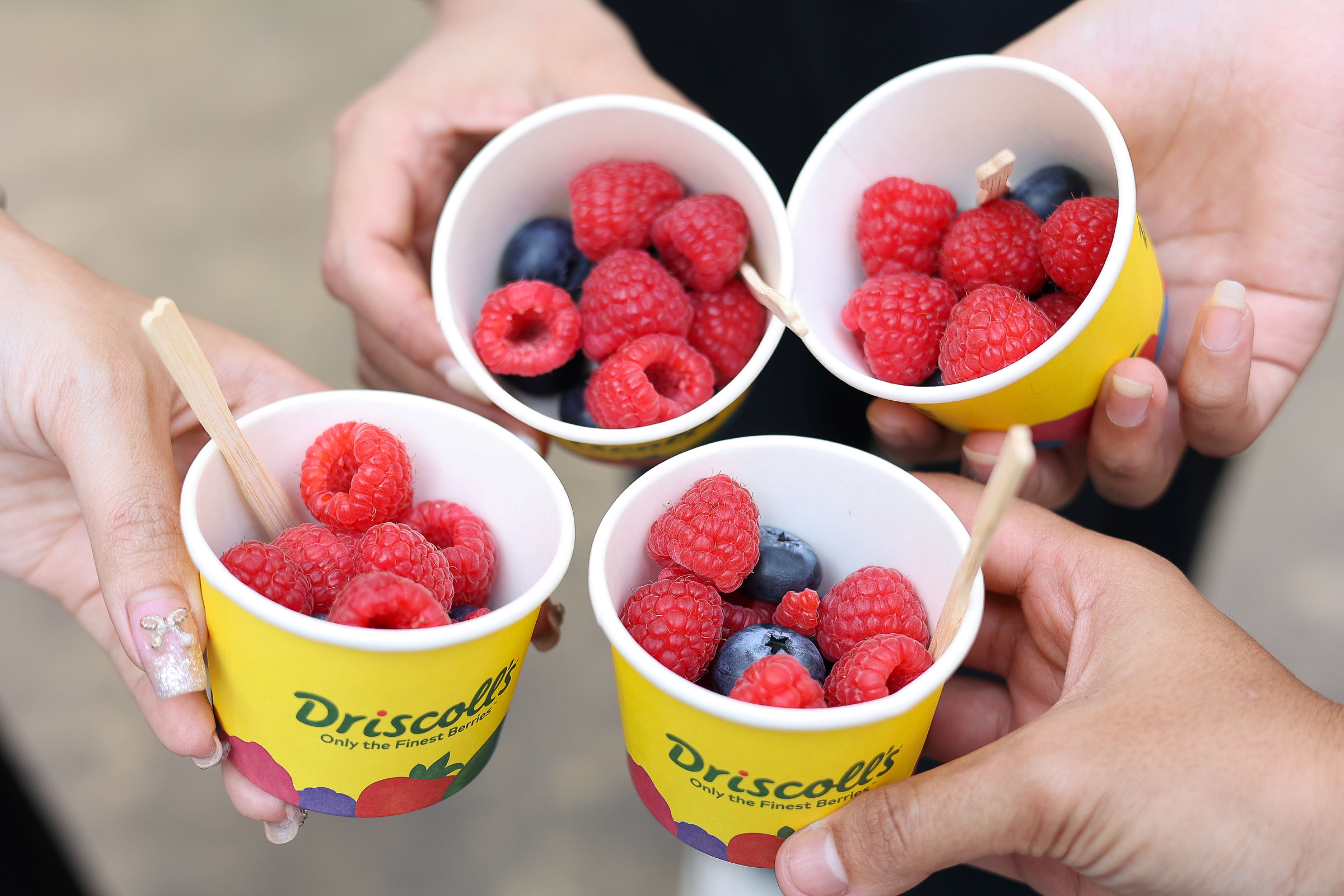 The Berry Joy กลับมาอีกครั้ง! Driscoll’s สุดยอดแบรนด์เบอร์รีระดับโลก  ยกขบวนโรดโชว์ เสิร์ฟความหวานฉ่ำใจกลางกรุงเทพฯ สำนักพิมพ์แม่บ้าน