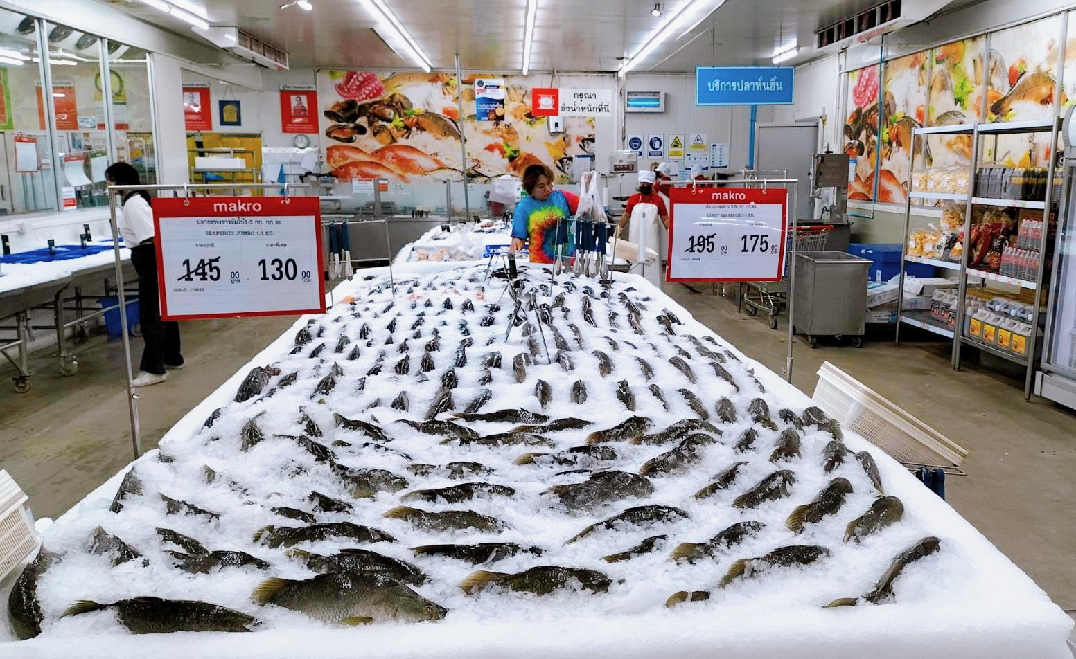 แม็คโครเคียงข้างเกษตรกรไทย จับมือพาณิชย์และประมงจังหวัดสงขลา  รับซื้อปลากะพงกว่า 30,000 กิโลกรัมจากภาคใต้ แก้ปัญหาราคาตกต่ำ