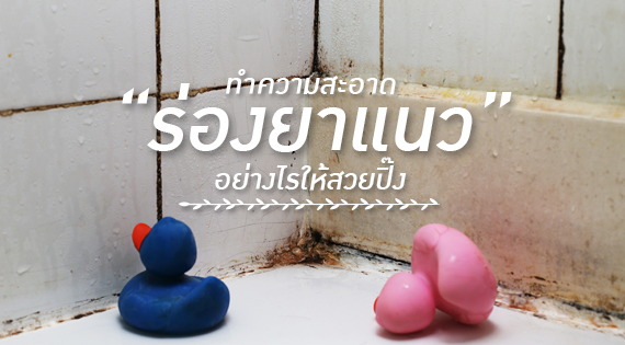 ทำความสะอาด "ร่องยาแนว" อย่างไรให้ขาวปิ๊ง สำนักพิมพ์แม่บ้าน