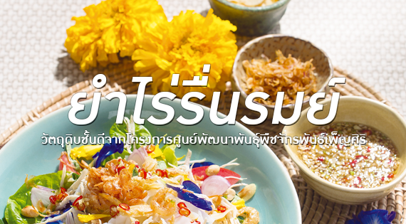 "ยำก๋วยเตี๋ยวไร่รื่นรมย์" วัตถุดิบชั้นดีจากโครงการศูนย์พัฒนาพันธุ์พืชจักรพันธ์เพ็ญศิริ สำนักพิมพ์แม่บ้าน