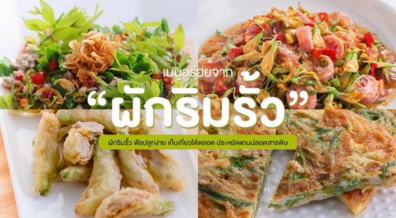6 เมนูอร่อยจากผักริมรั้ว สำนักพิมพ์แม่บ้าน