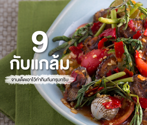 9 กับแกล้ม จานเด็ดเอาไว้ทำกินกรุบกริบ สำนักพิมพ์แม่บ้าน