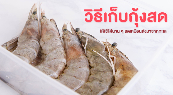 วิธีเก็บกุ้งสดให้ใช้ได้นาน ๆ เหมือนส่งมาจากทะเล สำนักพิมพ์แม่บ้าน