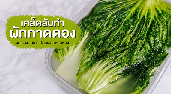 เคล็ดลับทำผักกาดดอง ดองเองกินเอง ปลอดภัยหายห่วง สำนักพิมพ์แม่บ้าน