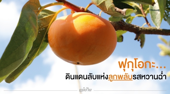 ฟุกุโอกะ... ดินแดนลับแห่งลูกพลับรสหวานฉ่ำ สำนักพิมพ์แม่บ้าน