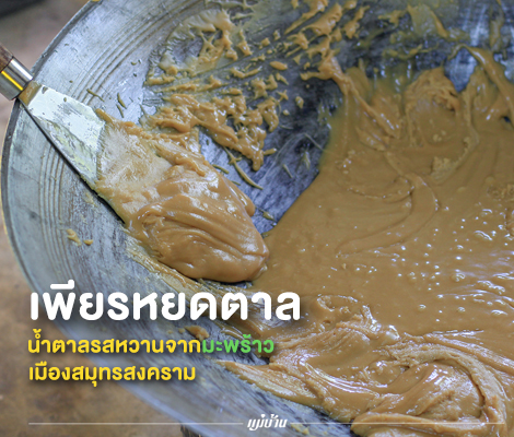 เพียรหยดตาล… น้ำตาลรสหวานจากมะพร้าวเมืองสมุทรสงคราม สำนักพิมพ์แม่บ้าน