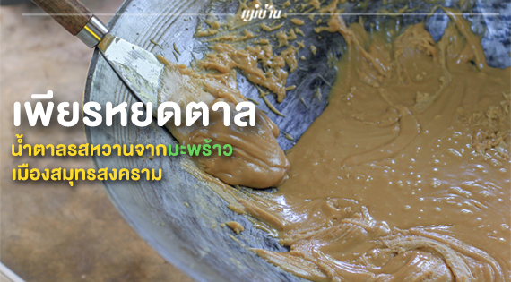 เพียรหยดตาล… น้ำตาลรสหวานจากมะพร้าวเมืองสมุทรสงคราม สำนักพิมพ์แม่บ้าน