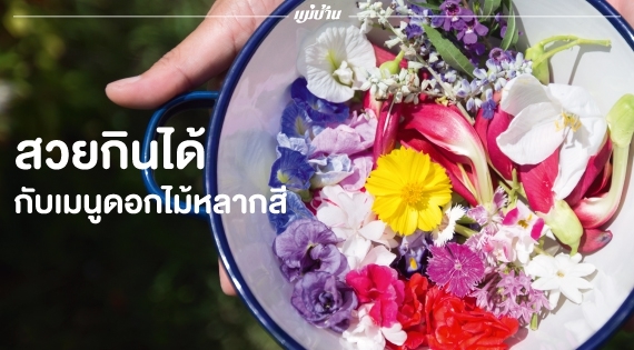 สวยกินได้ กับเมนูดอกไม้หลากสี สำนักพิมพ์แม่บ้าน
