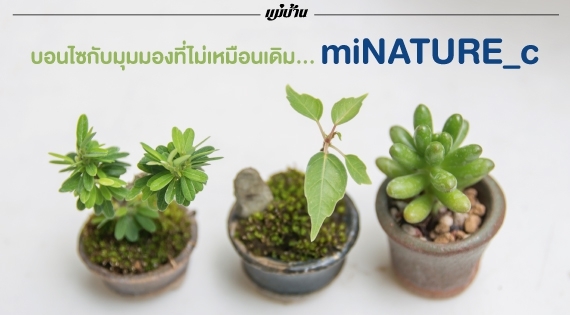 บอนไซกับมุมมองที่ไม่เหมือนเดิม... miNATURE_c สำนักพิมพ์แม่บ้าน