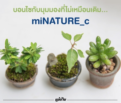 บอนไซกับมุมมองที่ไม่เหมือนเดิม... miNATURE_c สำนักพิมพ์แม่บ้าน