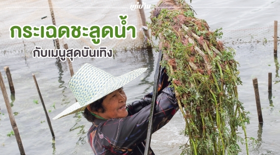 กระเฉดชะลูดน้ำ... กับเมนูสุดบันเทิง สำนักพิมพ์แม่บ้าน