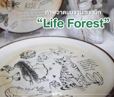 ภาพวาดบนจานเซรามิก “Life Forest” สำนักพิมพ์แม่บ้าน