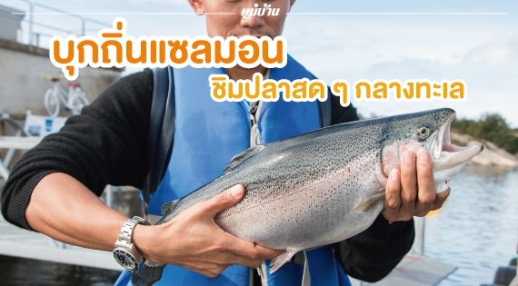 [Norway] บุกถิ่นแซลมอน ชิมปลาสด ๆ กลางทะเล สำนักพิมพ์แม่บ้าน