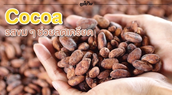 Cocoa รสขม ๆ ช่วยลดเครียด สำนักพิมพ์แม่บ้าน