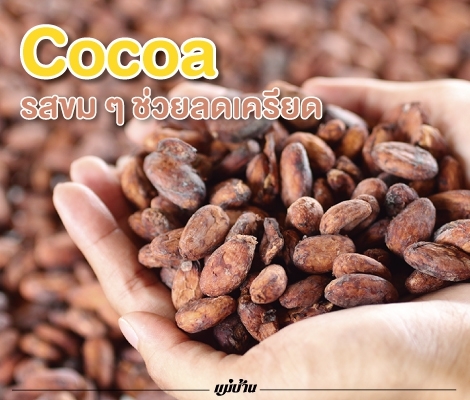 Cocoa รสขม ๆ ช่วยลดเครียด สำนักพิมพ์แม่บ้าน