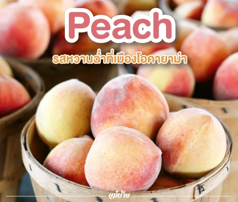 Peach รสหวานฉ่ำที่เมืองโอคายาม่า สำนักพิมพ์แม่บ้าน