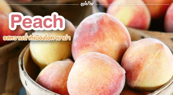 Peach รสหวานฉ่ำที่เมืองโอคายาม่า สำนักพิมพ์แม่บ้าน