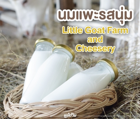 นมแพะรสนุ่ม ๆ จาก Little Goat Farm and Cheesery สำนักพิมพ์แม่บ้าน